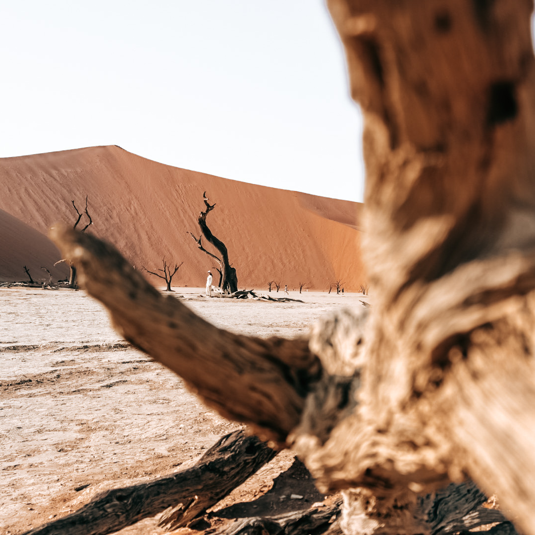 deadvlei namibie