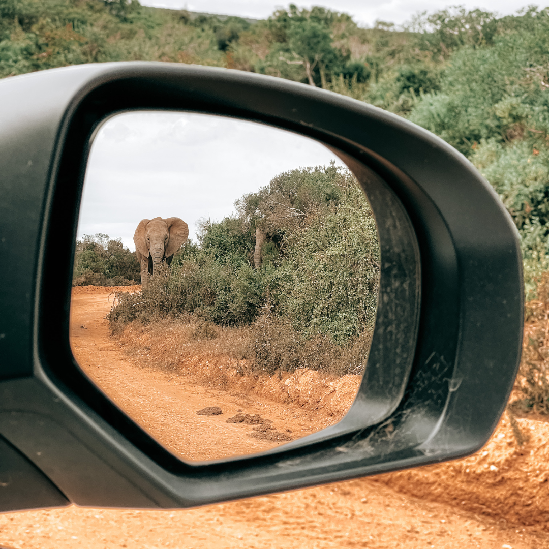 Namibië rondreis met kinderen