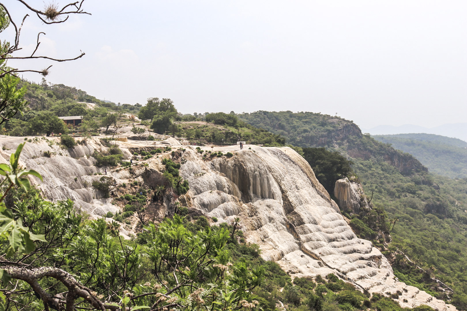 Reis tips met kinderen