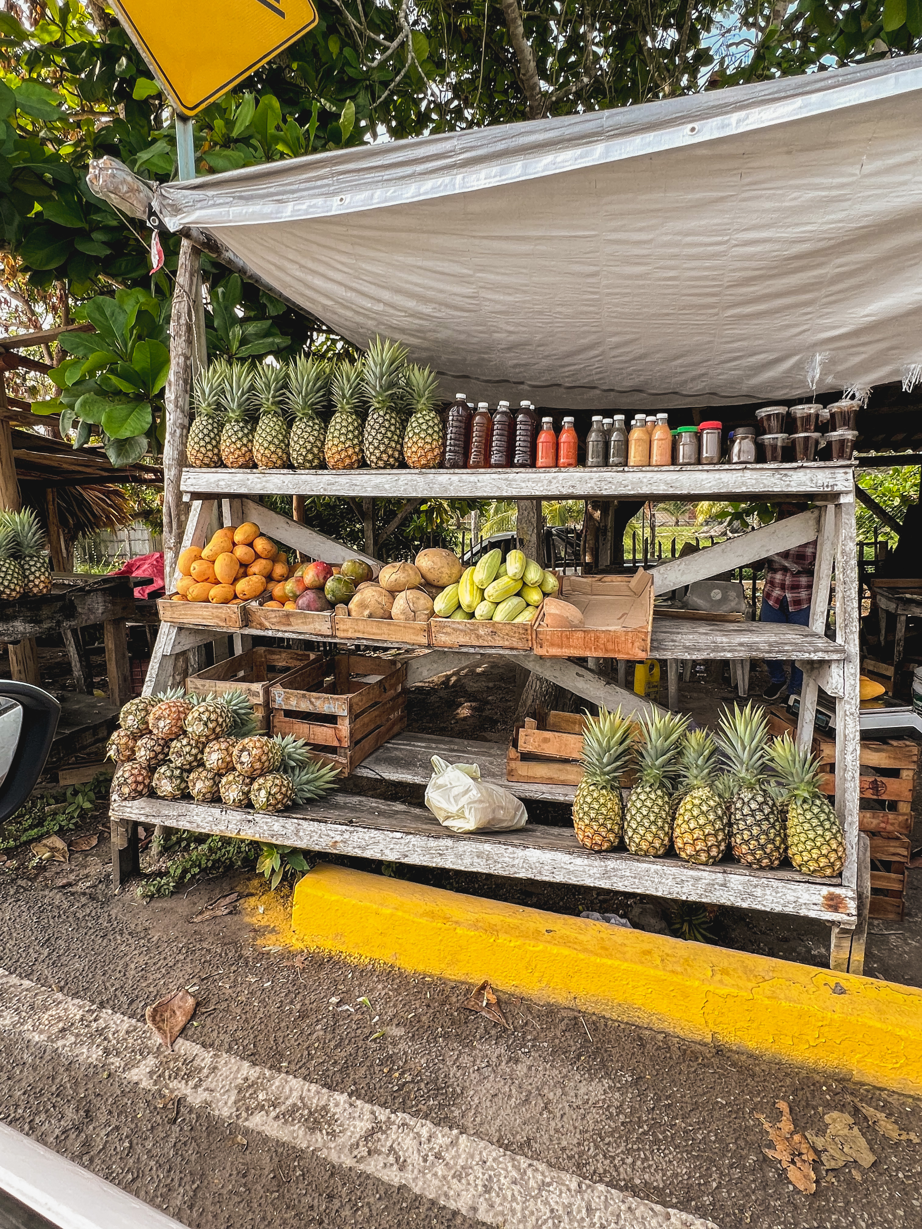 wat te doen bacalar met kinderen